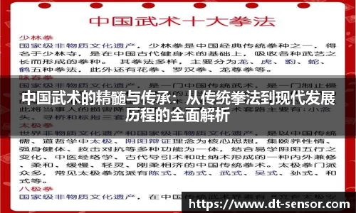 中国武术的精髓与传承：从传统拳法到现代发展历程的全面解析