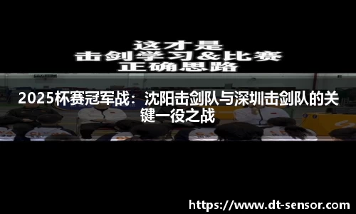2025杯赛冠军战：沈阳击剑队与深圳击剑队的关键一役之战